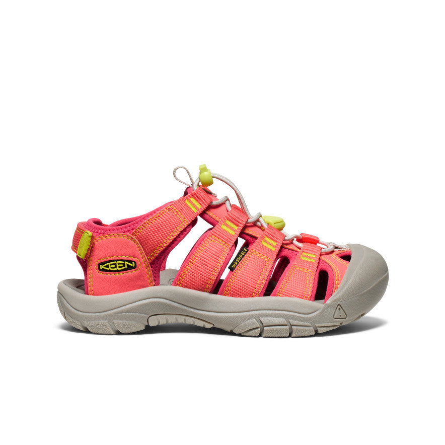 Dubarry/Evening Primrose