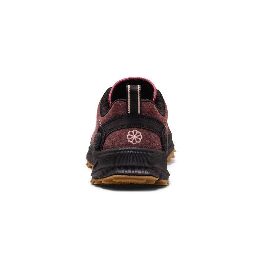 Huckleberry/Cameo Rose
