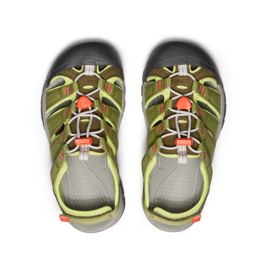 Dark Olive/Scarlet Ibis